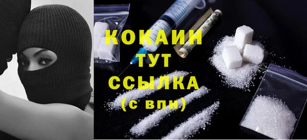 дмт Богородск