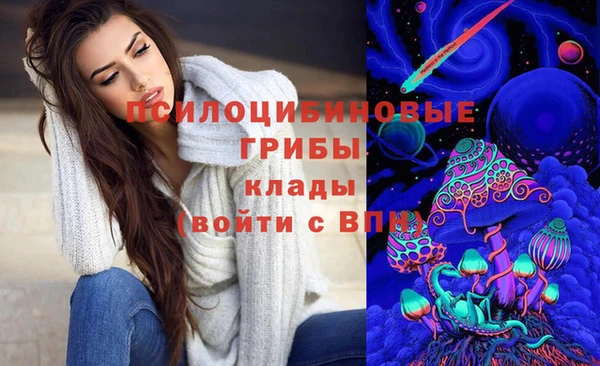 дмт Богородск