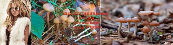 герыч Богородицк