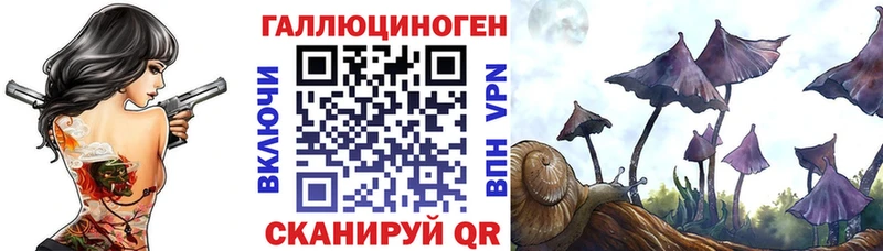 Купить закладки Усолье-Сибирское Псилоцибиновые грибы Psilocybe